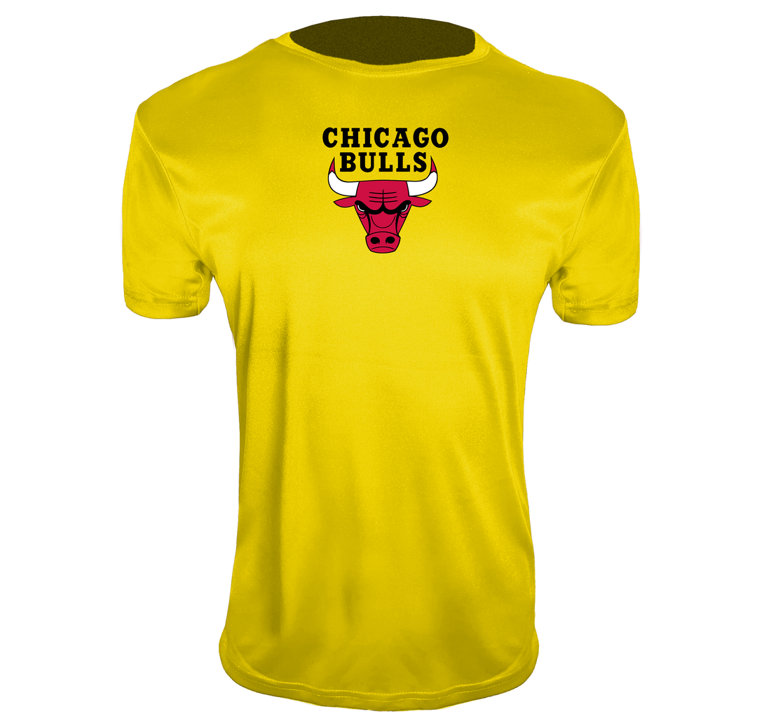 Men's Chicago Bulls Polyester T-Shirts